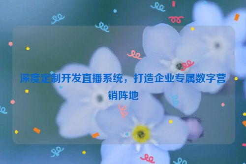深度定制开发直播系统，打造企业专属数字营销阵地