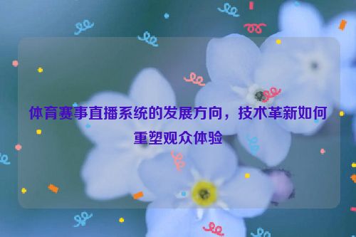 体育赛事直播系统的发展方向,技术革新如何重塑观众体验