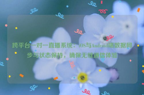 跨平台一对一直播系统：iOS与Android端数据同步与状态保持，确保无缝通信体验